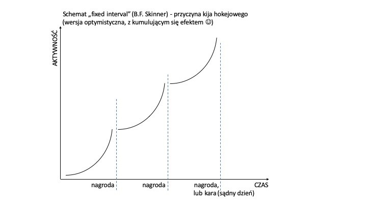 Reward schedule a efekt kija hokejowego